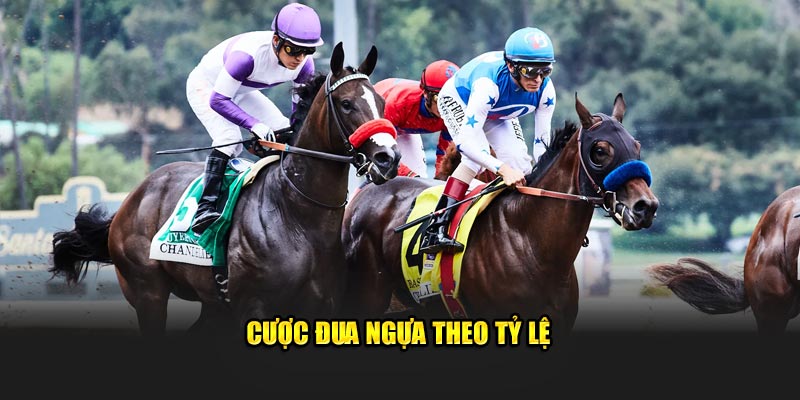 Cược đua ngựa theo tỷ lệ 