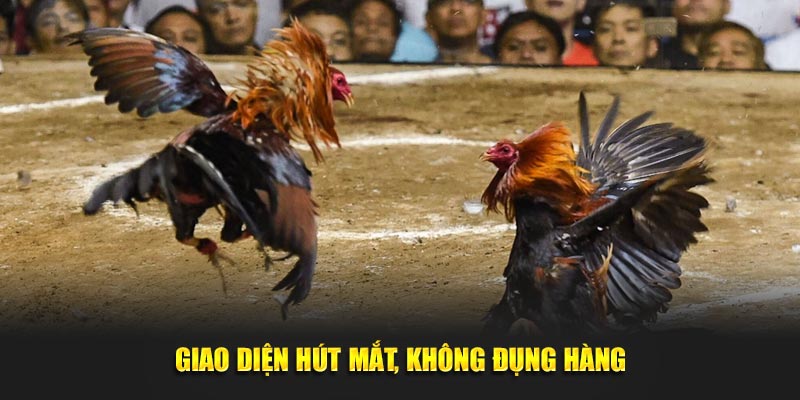 Giao diện hút mắt, không đụng hàng