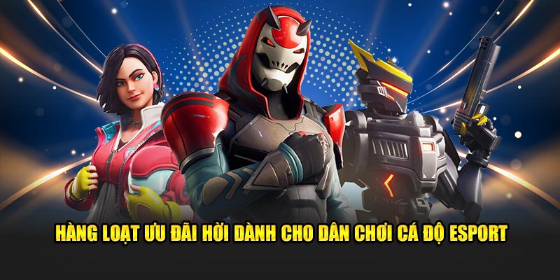 Hàng loạt ưu đãi hời dành cho dân chơi cá độ Esport