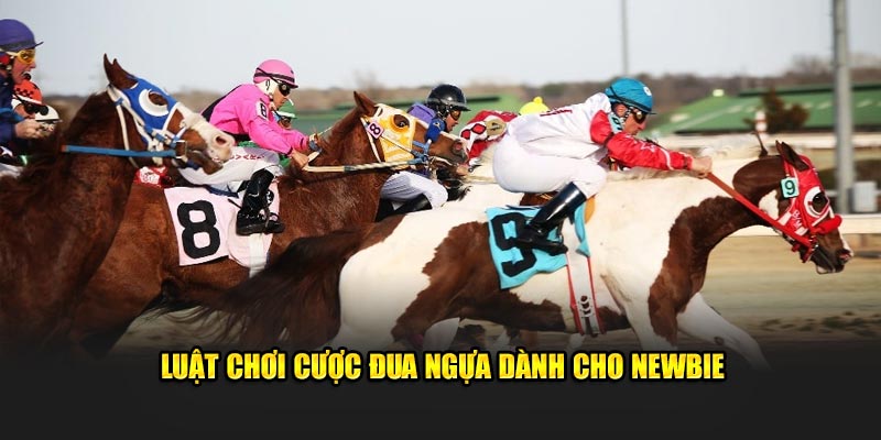 Luật chơi cược đua ngựa dành cho newbie