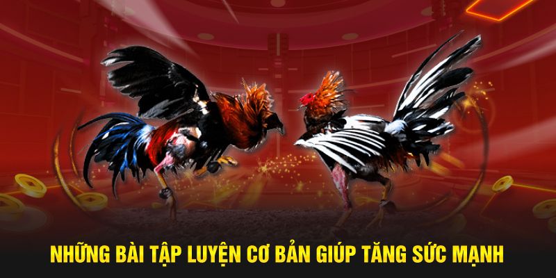 Những bài tập luyện cơ bản giúp tăng sức mạnh 