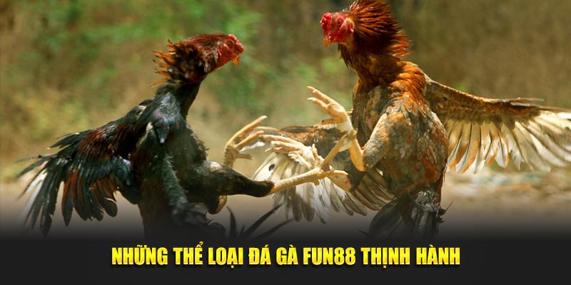 Những thể loại đá gà Fun88 thịnh hành