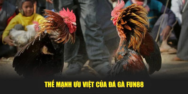 Thế mạnh ưu việt của đá gà Fun88