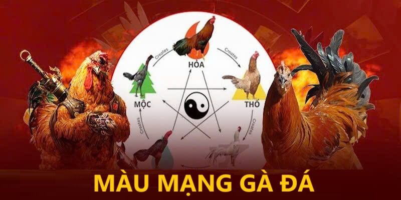 Thông tin cơ bản giúp bạn hiểu rõ màu mạng đá gà.