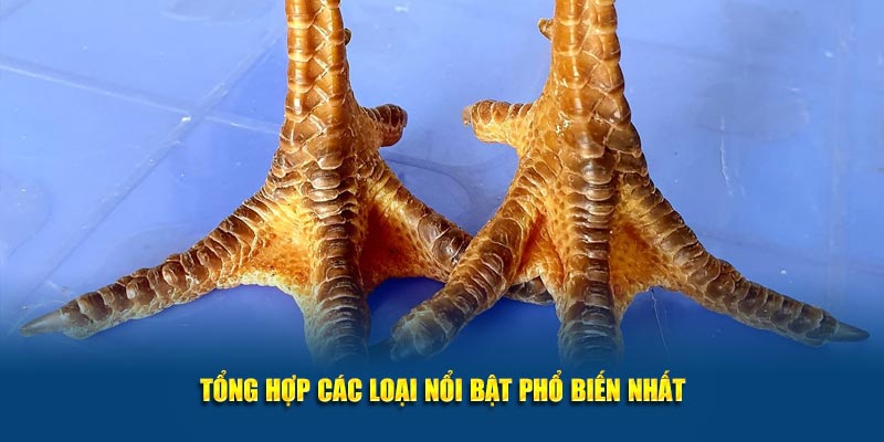 Tổng hợp các loại nổi bật phổ biến nhất