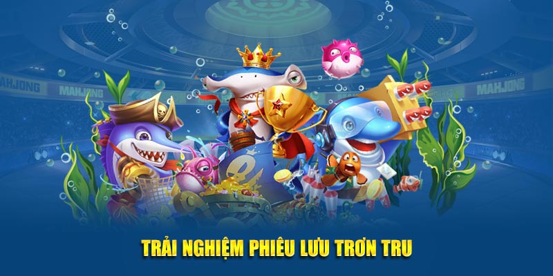 Trải nghiệm phiêu lưu trơn tru